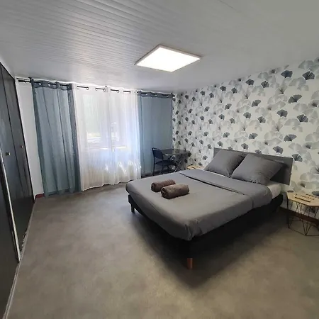 Appartement Nancyroom Vandoeuvre-lès-Nancy