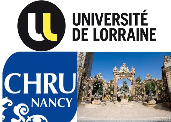 アパートホテル Nancyroom 2*